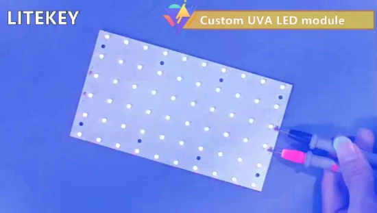 Módulo LED UVB de 308 nm 310 nm 12 V 2,5 W 4 W del fabricante experto